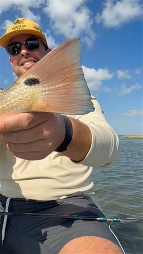 Energy On The Fly event