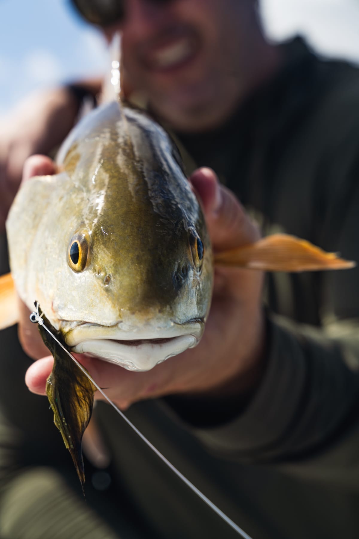 Energy On The Fly event