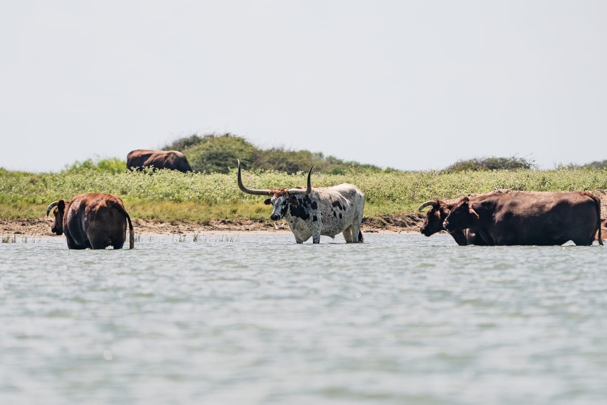 Energy On The Fly event